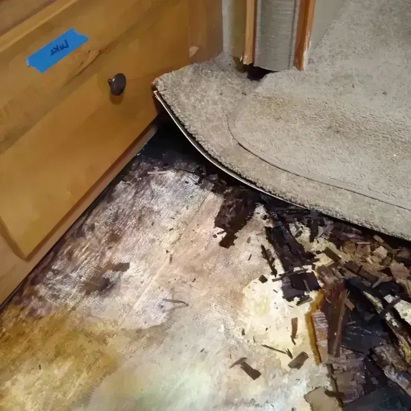 Best Wood Floor Water Damage Service in Hamlin, TX